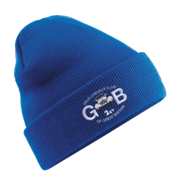 Picture of 2CVGB - Beanies