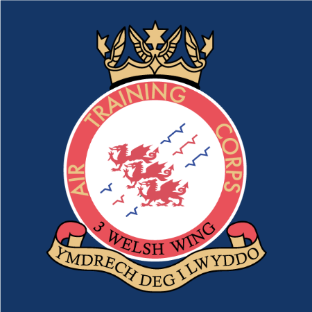 Show products in category 3 Welsh Wing Picture for category 3 Welsh Wing
