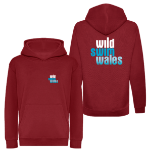 Picture of Wild Swim Wales - Organic Kids Hoodies