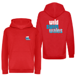 Picture of Wild Swim Wales - Organic Kids Hoodies