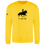 Picture of Little Viking Horse - 'If In Doubt, Tolt!' Adults Sweatshirts