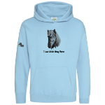 Picture of Little Viking Horse - 'I Love Little Viking Horse' Kids Hoodies