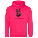 Picture of Little Viking Horse - 'I Love Little Viking Horse' Adults Hoodies