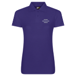 Picture of Symmetry Endurance Coaching - Ladies Fit Polos