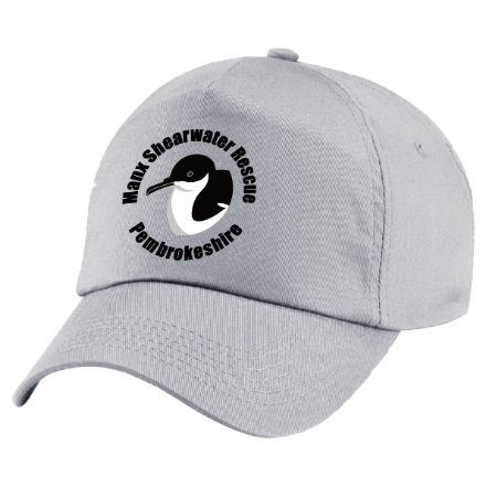 Light Grey Picture of Manx Shearwater Rescue Pembrokeshire - Caps